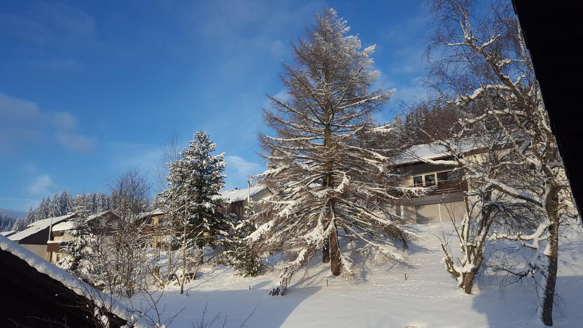 Ferienhaus Lucia, App.11 Schönwald Luaran gambar